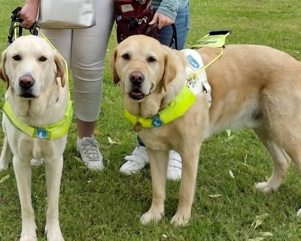 Guide Dog owners from Daventry Group, Rachel Nafzger with Jax and Harriet Smith with Sparky