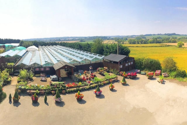 A local family-run company, shopping at Hillside Farm Nurseries will make “the garden of your dreams”. One regular at the 4.7 star centre said: ”Always fantastic plants..and so reasonably priced with good selection. Been buying from them for the last eight years.”