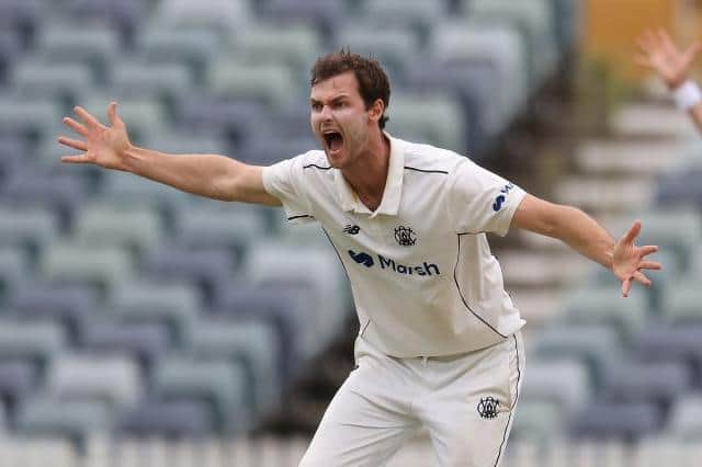 Matt Kelly appeals for a wicket