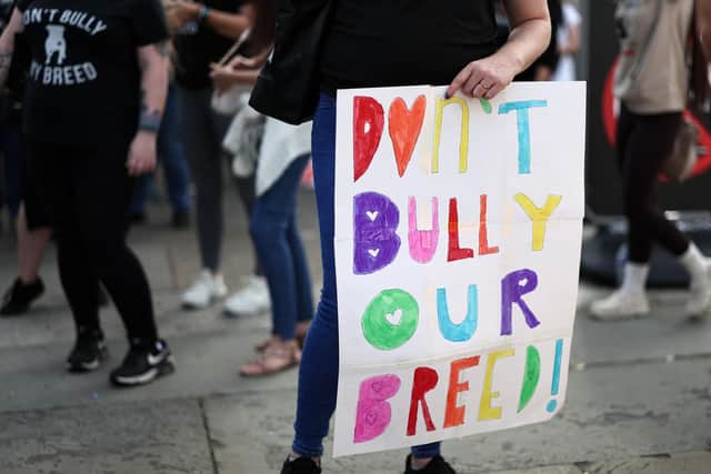 Supporters of the XL Bully dog breed hold placards during a protest against the UK Government's plans for the breed, in central London.
