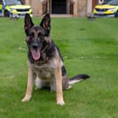 PD Kez is hanging up her collar after five years with Northamptonshire Police.