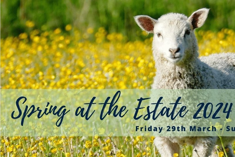 A spring hunt, family crafts, bottle feeding lambs and meeting the Easter bunny are on the cards at Chester House Estate close to Wellingborough. All of the activities are included in one ticket prize, which is £15 per child. Tickets can be booked on the Chester House website.