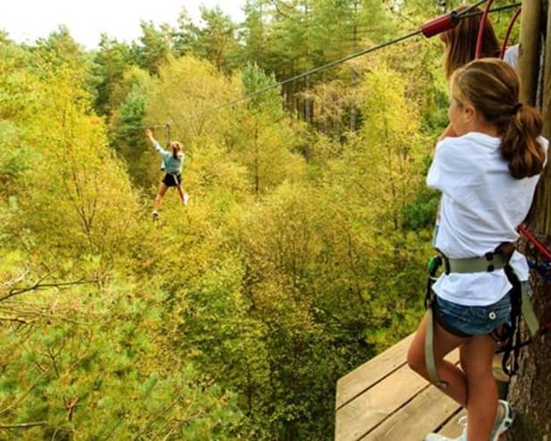 The Northamptonshire course will be similar to other Go Ape facilities around the UK.
Copyright: Adventure Forest Ltd