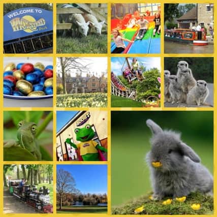 Easter days out in and around Northants NNL-180323-113800001