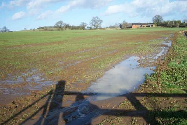 Photo of the land adjacent to Grants Hill Way again at the western end of the proposed site after rainfall.