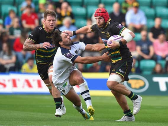 James Haskell will miss Saints' game at Harlequins