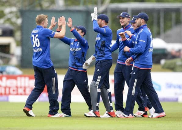 David Willey celebrates taking a wicket on his England debut