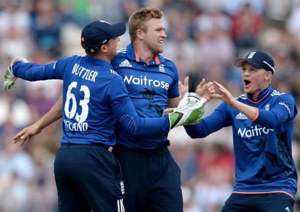 David Willey celebrates taking a wicket during the ODI series win over New Zealand earlier this year