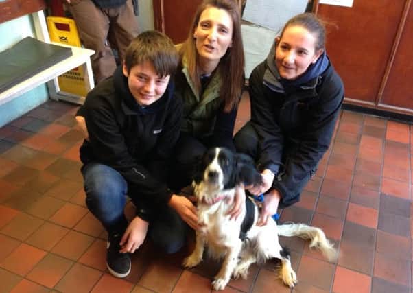 Bella from Rothwell reunited with owner Sarah Osborne