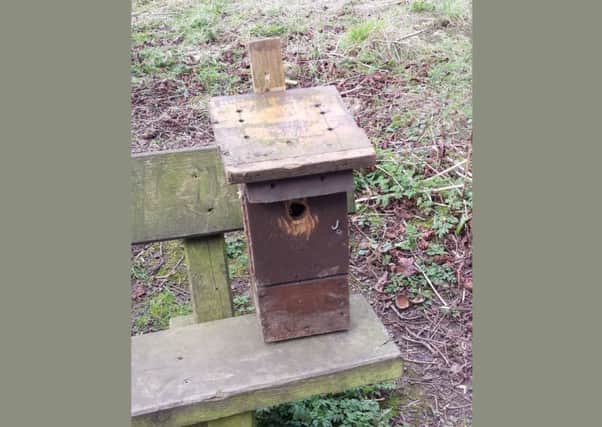 One of the bird boxes that has been pulled down from a tree at Daventry Country Park