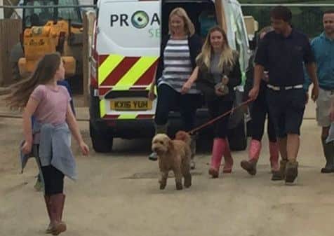 Dexter is reunited with his owner after being found