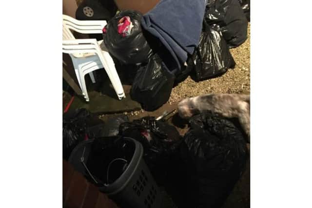 The woman said she lost an entire wardrobe of clothes as a result of the infestation